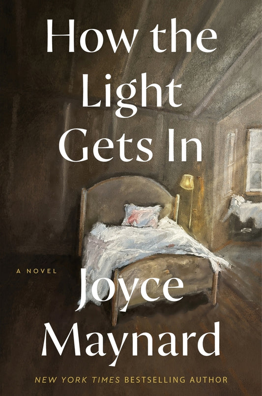 Book cover for How the Light Gets in