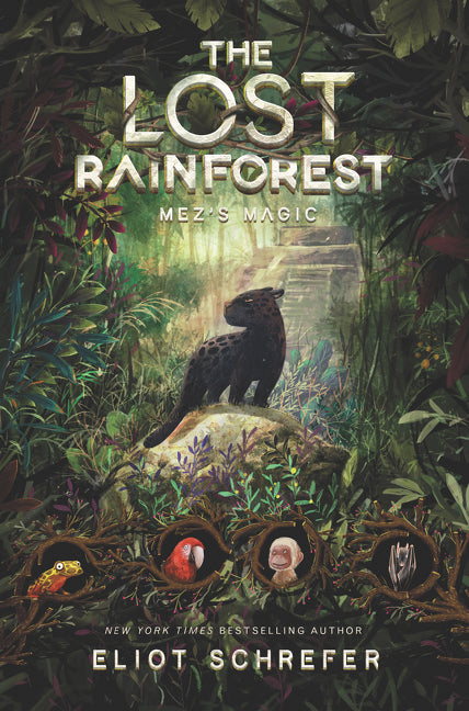 Book cover for Lost Rainforest: Mez's Magic
