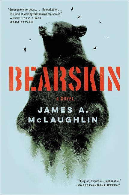 Book cover for Bearskin