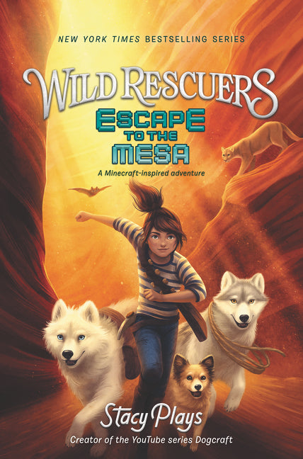 Book cover for Escape to the Mesa