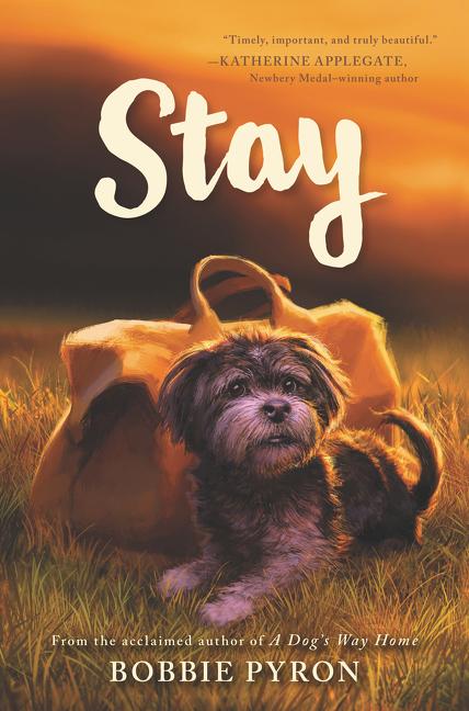 Book cover for Stay