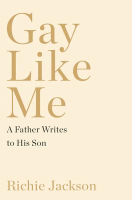 Book cover for Gay Like Me: A Father Writes to His Son