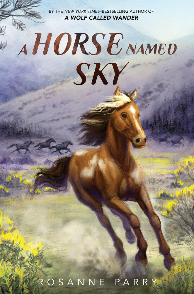 Book cover for A Horse Named Sky