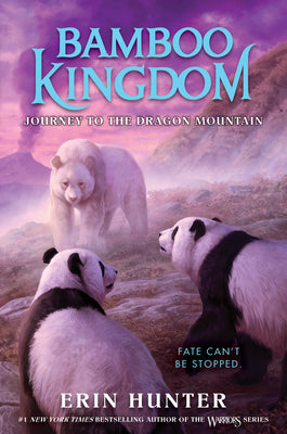 Book cover for Bamboo Kingdom #3: Journey to the Dragon Mountain