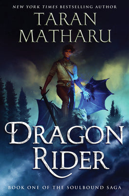 Book cover for Dragon Rider