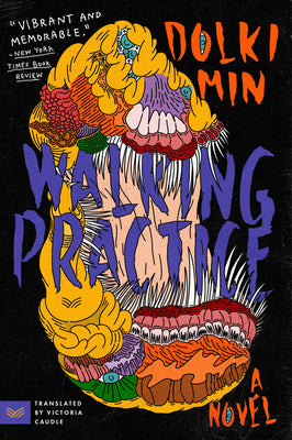 Book cover for Walking Practice