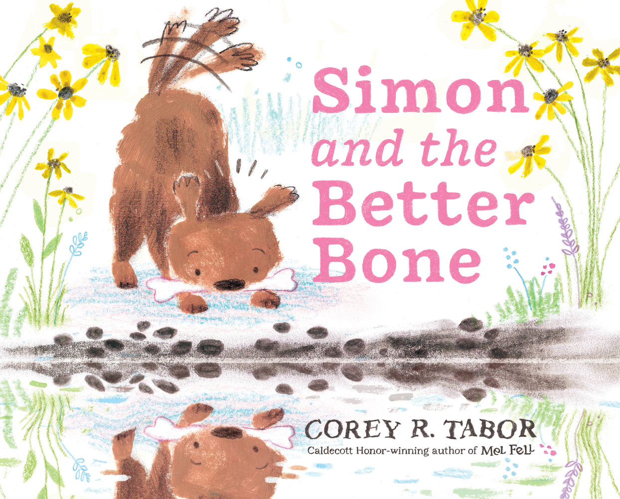 Book cover for Simon and the Better Bone