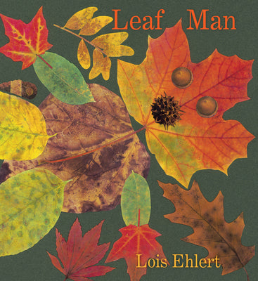 Book cover for Leaf Man Board Book