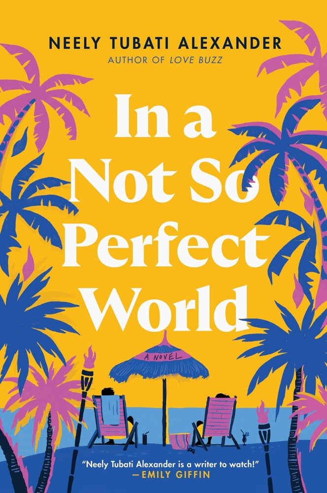 Book cover for In a Not So Perfect World