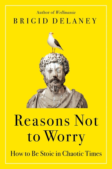 Book cover for Reasons Not to Worry: How to Be Stoic in Chaotic Times
