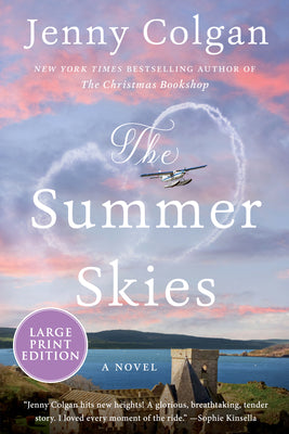 Book cover for The Summer Skies