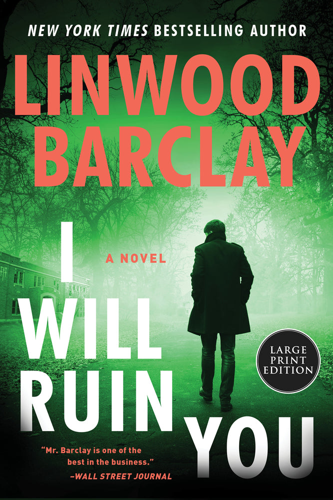 Book cover for I Will Ruin You