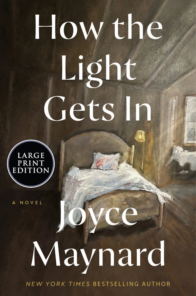 Book cover for How the Light Gets in