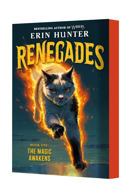 Book cover for Renegades #1: The Magic Awakens