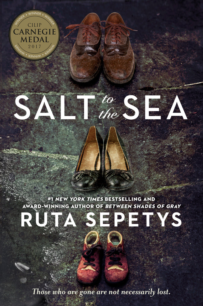Book cover for Salt to the Sea