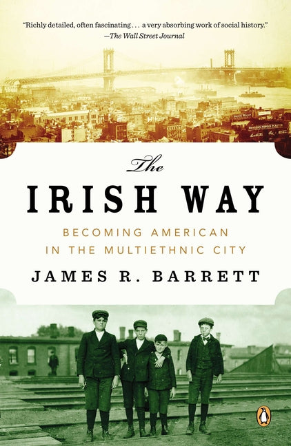 Book cover for Irish Way: Becoming American in the Multiethnic City