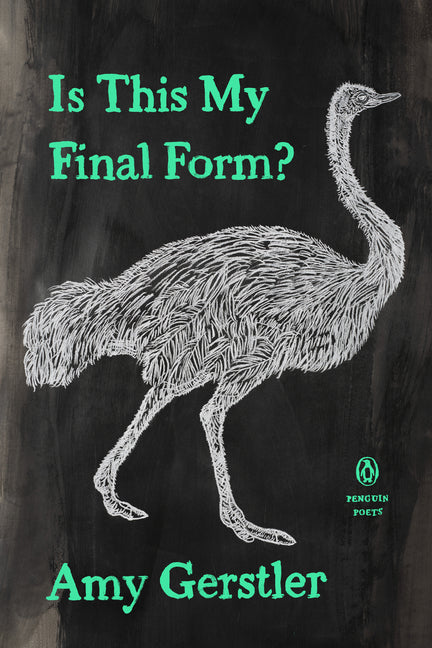 Book cover for Is This My Final Form?