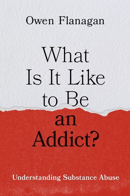 Book cover for What Is It Like to Be an Addict?: Understanding Substance Abuse