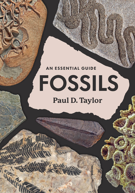 Book cover for Fossils: An Essential Guide
