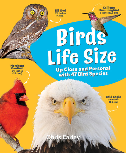 Book cover for Birds Life Size: Up Close and Personal with 47 Bird Species