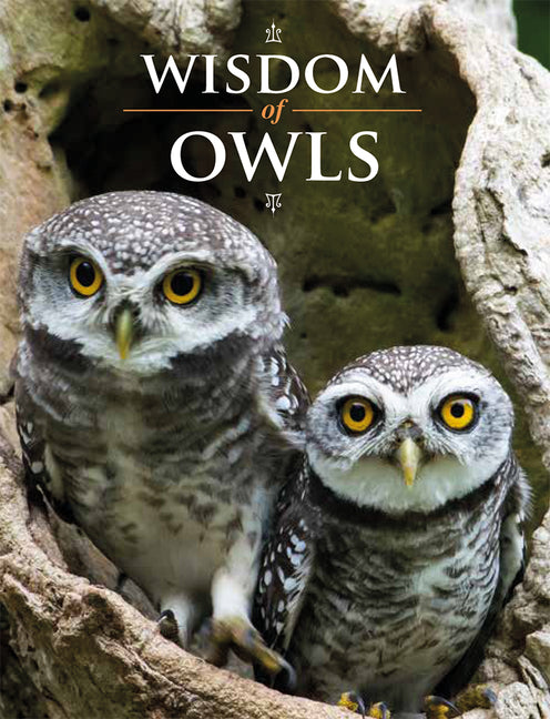 Book cover for Wisdom of Owls