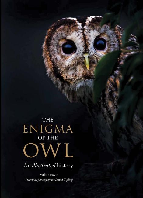 Book cover for Enigma of the Owl: An Illustrated Natural History
