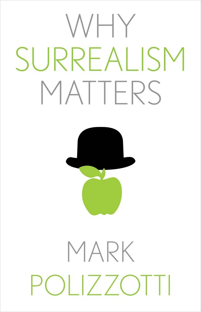 Book cover for Why Surrealism Matters