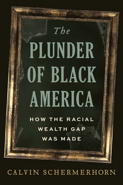 Book cover for Plunder of Black America: How the Racial Wealth Gap Was Made