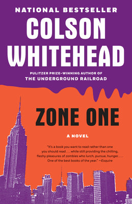 Book cover for Zone One