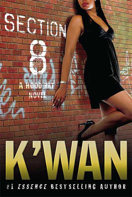 Book cover for Section 8: A Hood Rat Novel