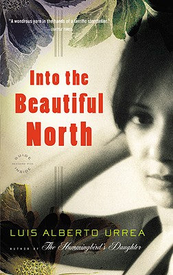Book cover for Into the Beautiful North