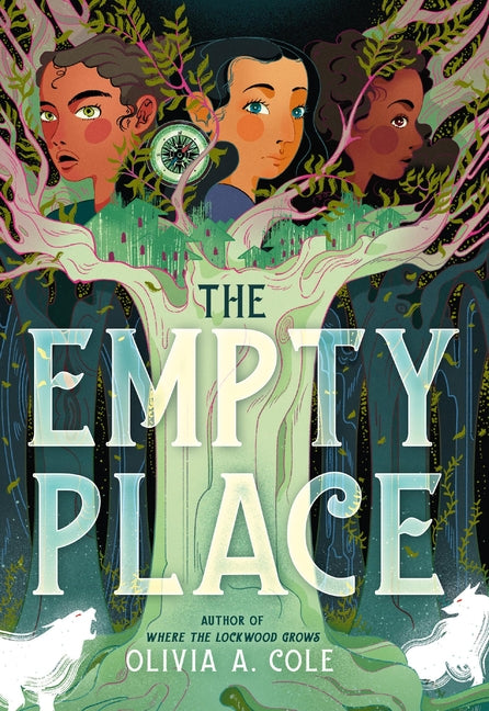 Book cover for Empty Place