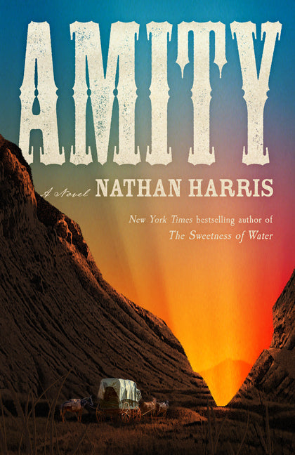 Book cover for Amity