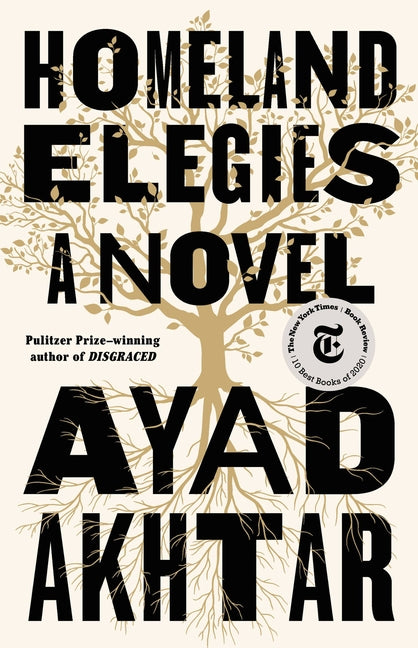 Book cover for Homeland Elegies