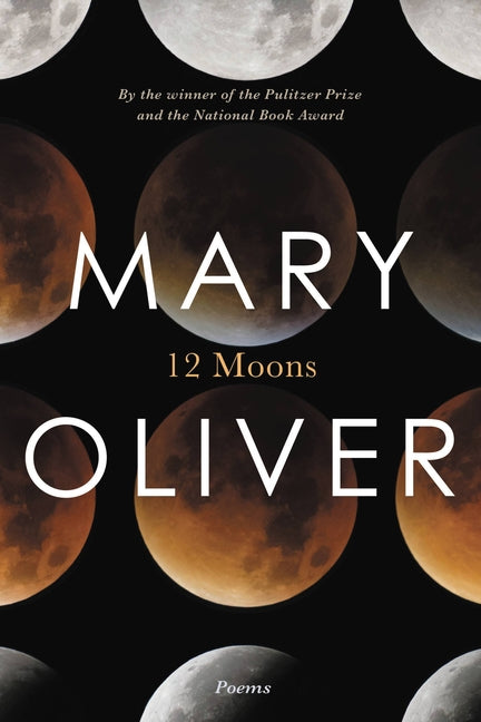 Book cover for Twelve Moons