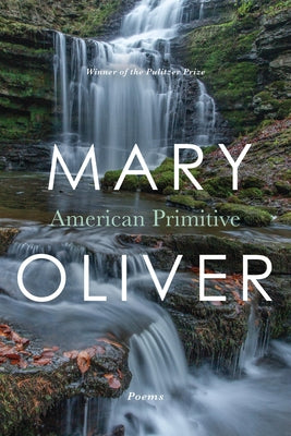 Book cover for American Primitive