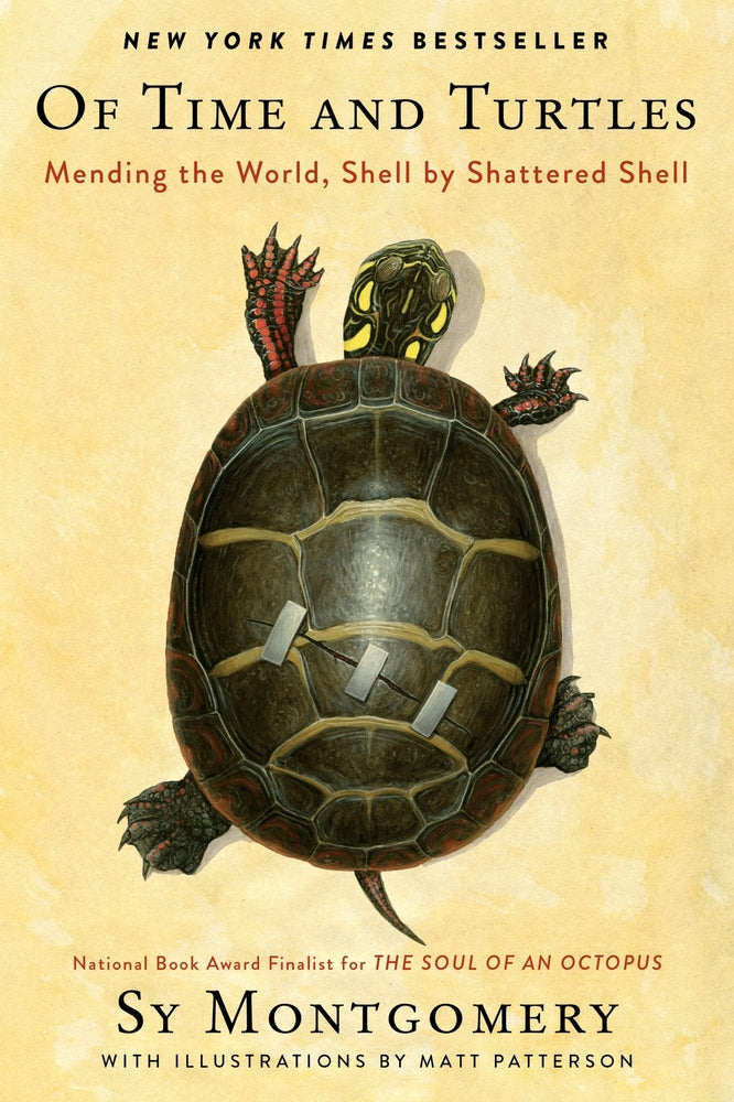 Book cover for Of Time and Turtles: Mending the World, Shell by Shattered Shell