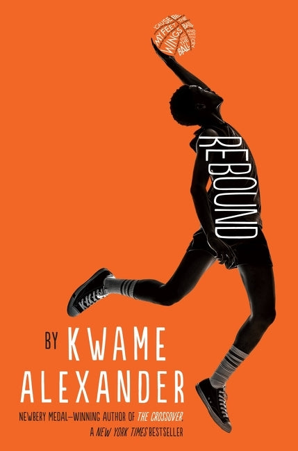 Book cover for Rebound