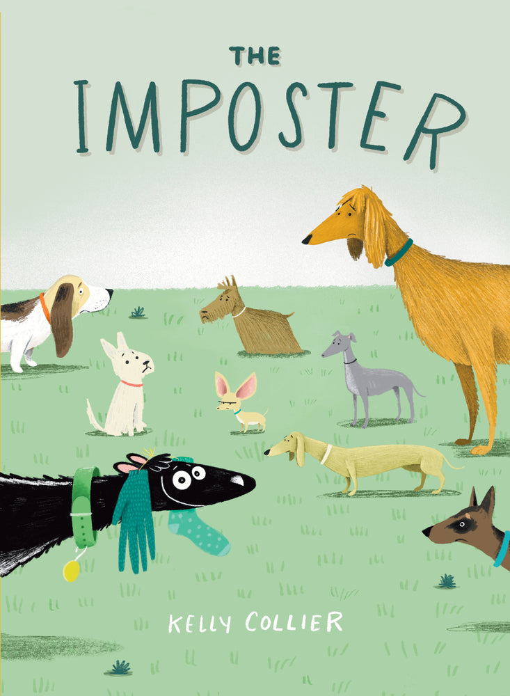 Book cover for The Imposter