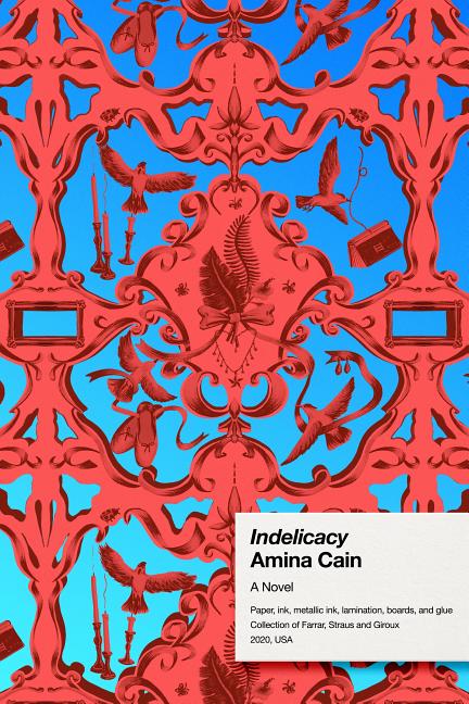 Book cover for Indelicacy