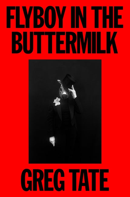 Book cover for Flyboy in the Buttermilk: Essays on Contemporary America