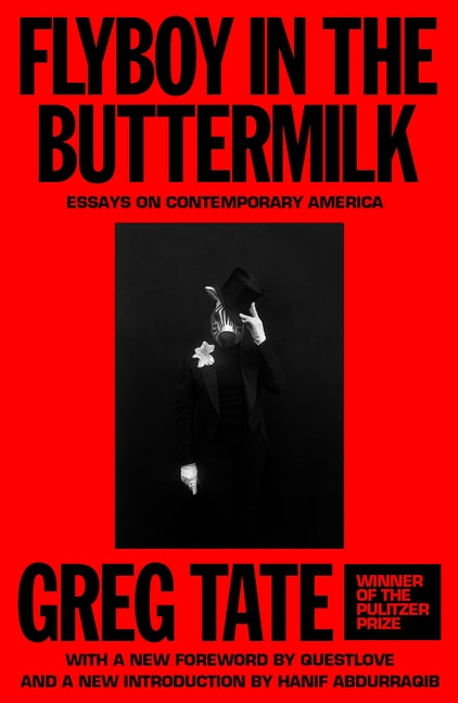 Book cover for Flyboy in the Buttermilk: Essays on Contemporary America