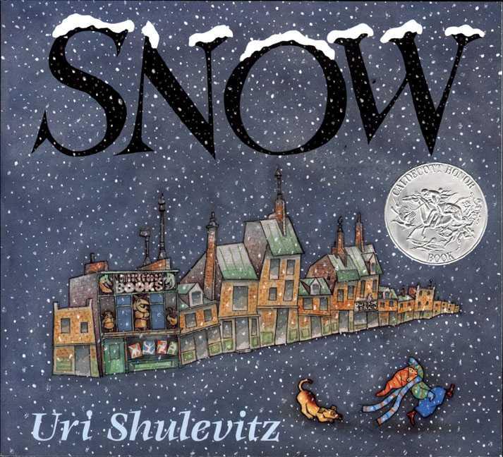 Book cover for Snow
