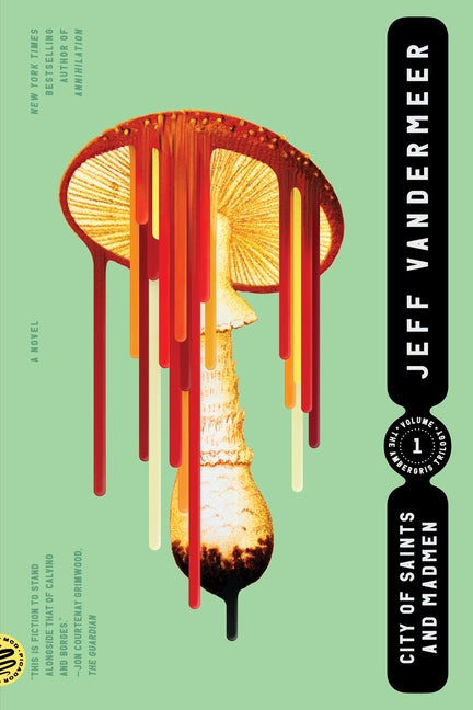 Book cover for City of Saints and Madmen