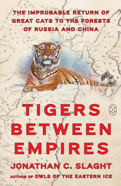 Book cover for Tigers Between Empires: The Improbable Return of Great Cats to the Forests of Russia and China