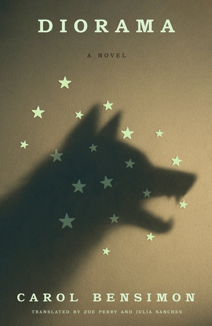 Book cover for Diorama