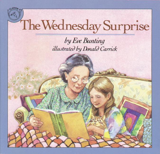 Book cover for Wednesday Surprise