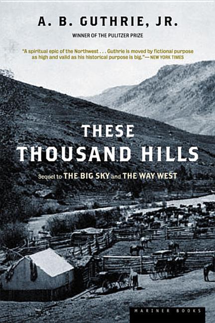 Book cover for These Thousand Hills