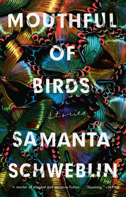 Book cover for Mouthful of Birds: Stories