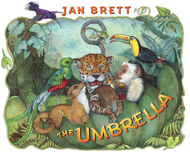 Book cover for Umbrella